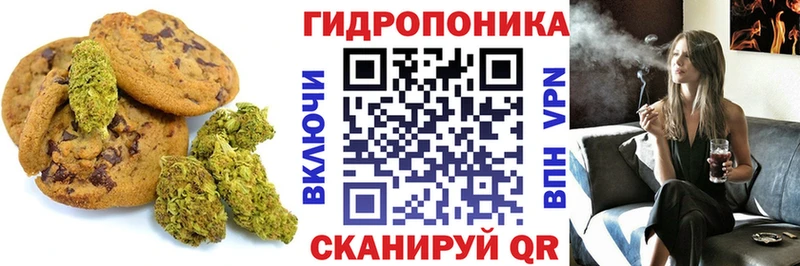 купить закладку Сенгилей Еда ТГК конопля