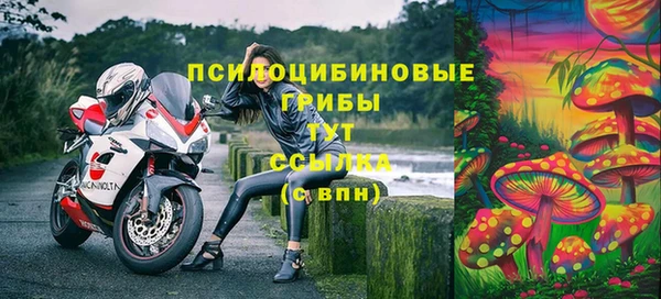 шишки Алексин