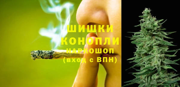 ПСИЛОЦИБИНОВЫЕ ГРИБЫ Алзамай