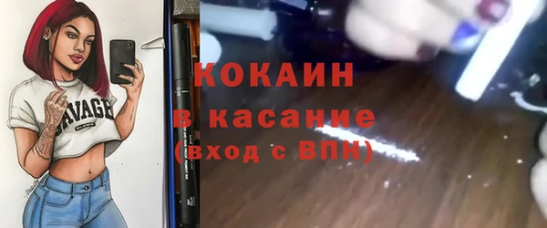шишки Алексин