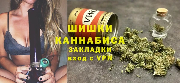 ПСИЛОЦИБИНОВЫЕ ГРИБЫ Алзамай