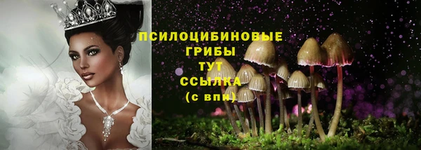 стафф Навашино