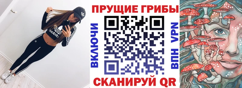 Псилоцибиновые грибы мицелий  MEGA ссылка  Сенгилей 